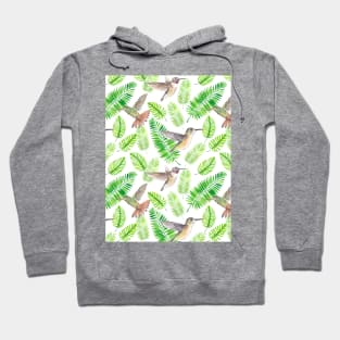 Hummingbirds and tropical leaves Hoodie